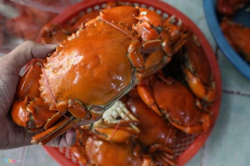 Món ngon từ cua tại TP.HCM