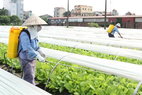 Luật Bảo vệ môi trường 2020: Tăng vai trò giám sát của nông dân