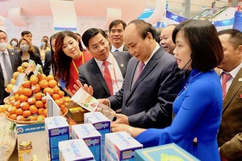 Thủ tướng Nguyễn Xuân Phúc: Kinh tế tập thể, hợp tác xã là xu hướng tất yếu trong hội nhập