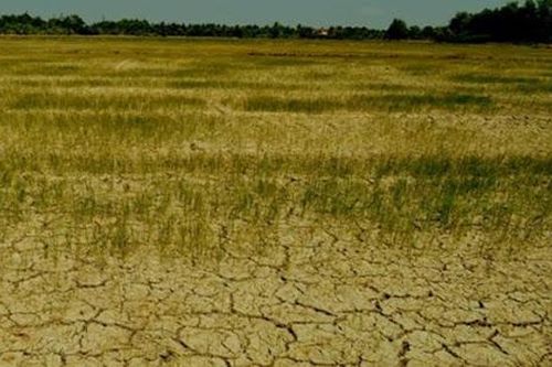 Đẩy mạnh hành động ứng phó biến đổi khí hậu, quản lý tài nguyên và môi trường