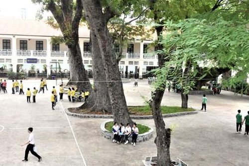 Bệnh thành tích không đến từ giáo viên