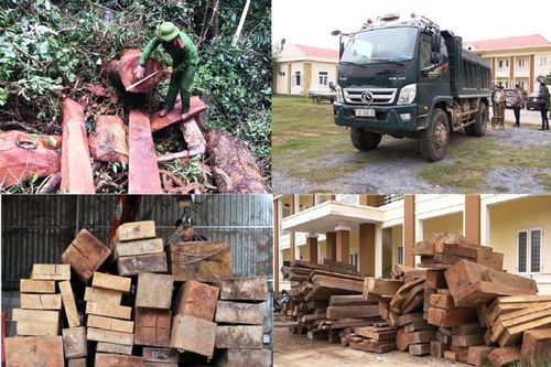 Bộ Công an khen thưởng Công an tỉnh Quảng Bình về chuyên án phá rừng Trường Sơn quy mô lớn