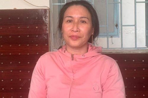 Khởi tố, bắt tạm giam Lê Thị Bình