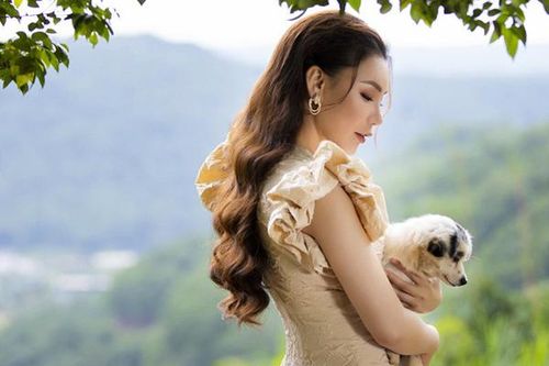 Hồ Quỳnh Hương chơi đùa cùng thú cưng những ngày cận Giáng sinh