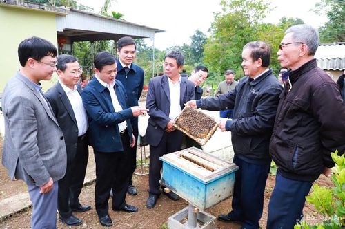 Bí thư Tỉnh ủy Thái Thanh Quý thăm, làm việc tại thị xã Thái Hòa