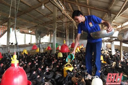 Tăng cường phòng chống dịch bệnh trên đàn vật nuôi