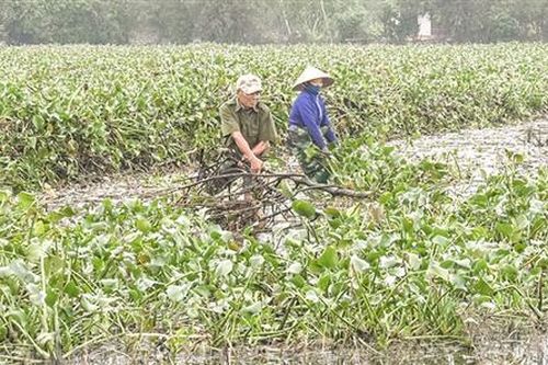 Hải Lăng chuẩn bị các điều kiện sản xuất vụ đông xuân