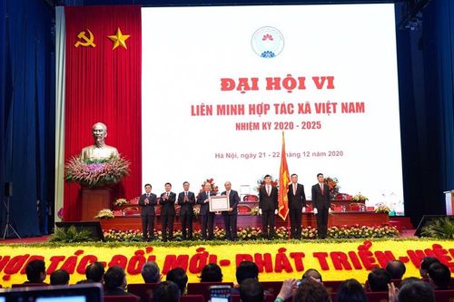 Phát huy sức mạnh tổng hợp trong phát triển kinh tế tập thể