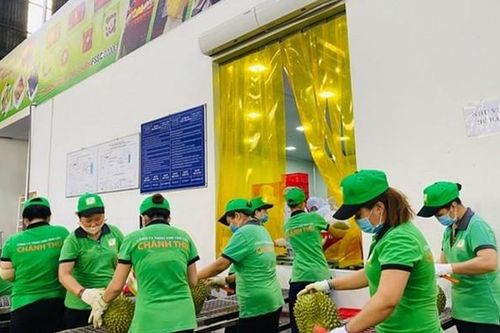 More fruit, vegetable export opportunities for Vietnamese produce next year