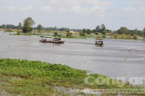 Kỳ 2: Nguyên nhân do đâu?