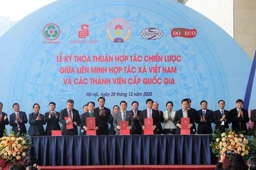 Saigon Co.op ký kết hợp tác Liên minh HTX Việt Nam nghiên cứu mô hình HTX phát triển