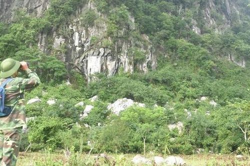 Người cựu chiến binh hàng chục năm tự nguyện bảo vệ đàn voọc quý hiếm trong sách Đỏ