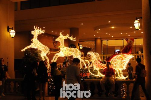 Sài Gòn se lạnh, hân hoan thắp đèn rực rỡ đón Giáng sinh