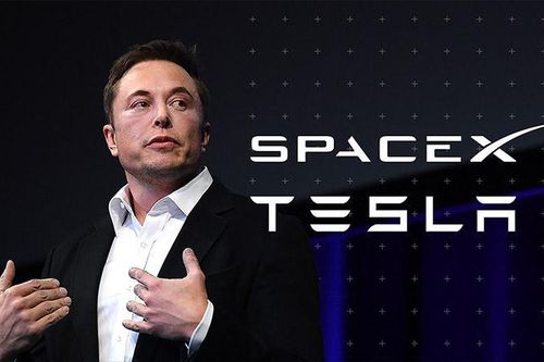 Elon Musk: Apple từng từ chối mua Tesla với giá 60 tỷ USD