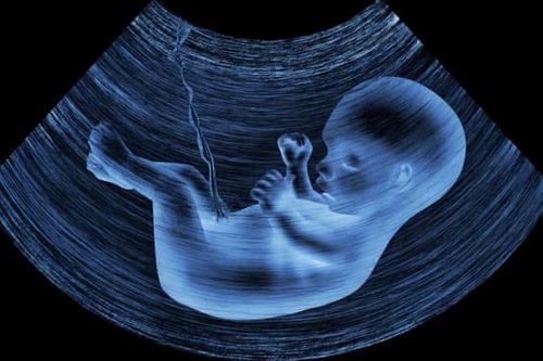 Phát hiện hạt vi nhựa trên nhau thai ở người