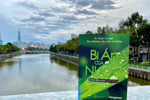 'Bí ẩn của nước': Kỳ diệu và hơn thế nữa
