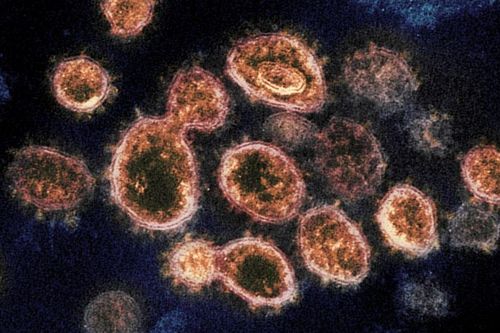 Biến thể mới của virus SARS-CoV-2 và kỳ nghỉ lễ 'đen tối' tại Anh