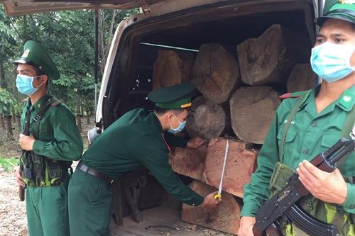 Tăng cường đấu tranh phòng, chống mua bán, vận chuyển pháo nổ vi phạm lâm luật