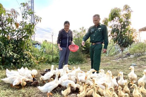 Tạo sinh kế kết hợp nâng cao dân trí cho phụ nữ vùng biên