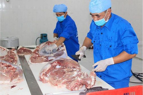 Chuỗi chăn nuôi khép kín cung cấp thực phẩm an toàn cho người tiêu dùng Thủ đô