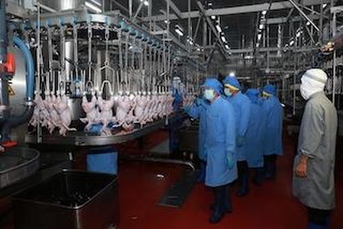 Bình Phước: Phấn đấu thành lập mới 6.000 doanh nghiệp trước năm 2025