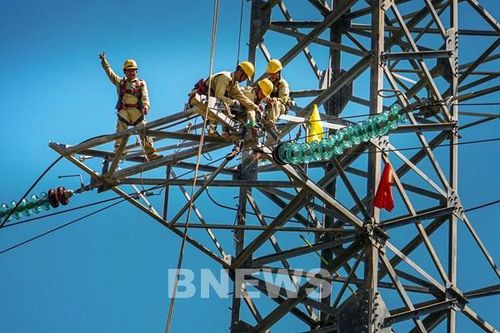 PTC3 hoàn thành trước nhiều chỉ tiêu trong kế hoạch 5 năm