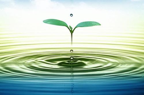 Tiết lộ bất ngờ những triết lý quan trọng từ nước