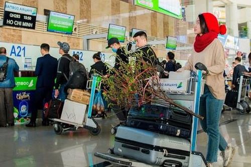 Mua vé máy bay Tết cho mai, đào ngược xuôi Nam Bắc