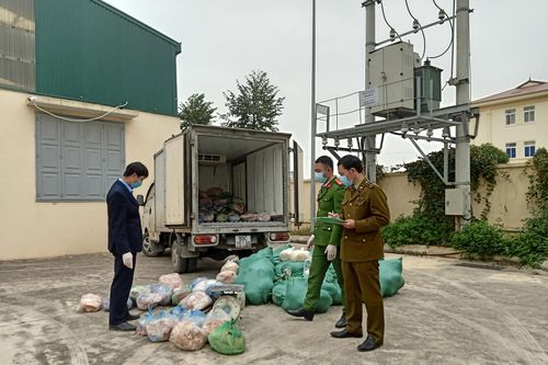 Bắt giữ 1 vụ vận chuyển 740 kg bì lợn không có nguồn gốc