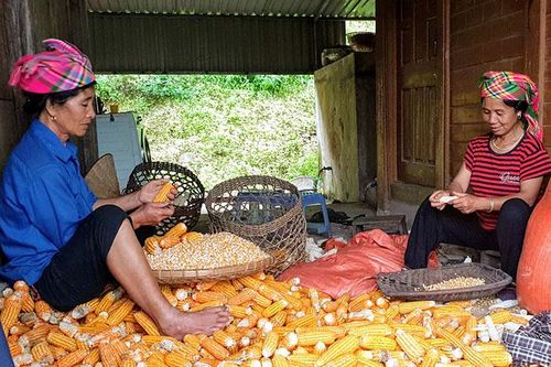Nỗ lực hoàn thiện tiêu chí hộ nghèo trong xây dựng nông thôn mới