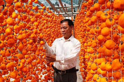 Ra mắt Trung tâm sấy và bảo quản nông sản khu vực Đà Lạt