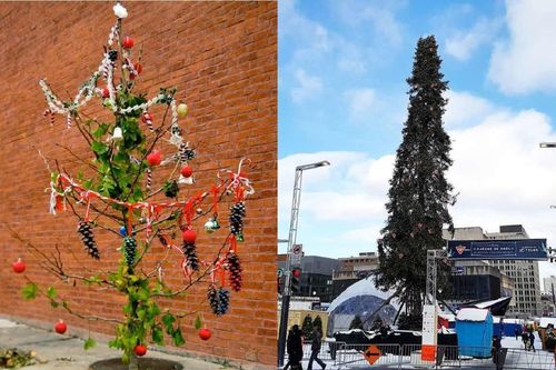 Chết cười xem những cây thông Noel xấu xí đến mức thảm họa