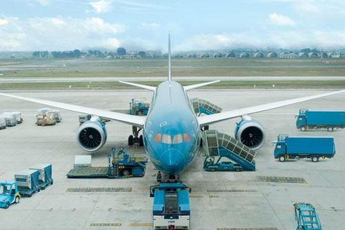 Vietnam Airlines nhận vận chuyển cành đào, mai dịp Tết Tân Sửu 2021