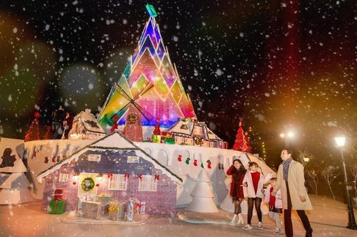 Hà Nội: Bạn đã kịp check-in cùng 'cây măng Noel' đẹp như ở trời Âu chưa?