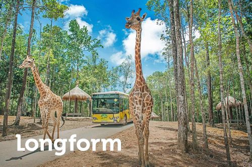 5 năm kiến tạo 'vương quốc hạnh phúc của muôn loài' ở Vinpearl Safari