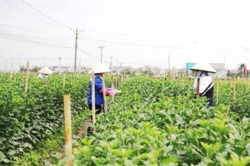 Huyện Mê Linh còn duy nhất 1 hộ nghèo