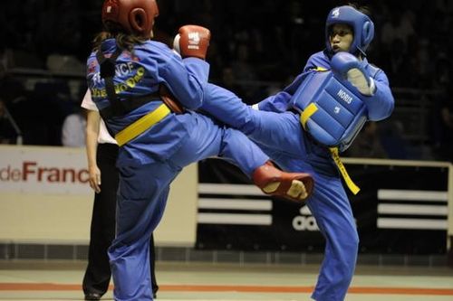 Chủ tịch WVVF chúc mừng Giáng sinh, năm mới môn đồ Vovinam toàn thế giới