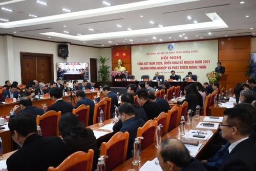 Nông nghiệp vượt 'khó khăn kép', tăng trưởng 2,5% xuất khẩu