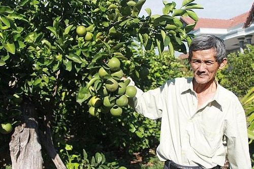 'Nhà khoa học của nhà nông' 92 tuổi