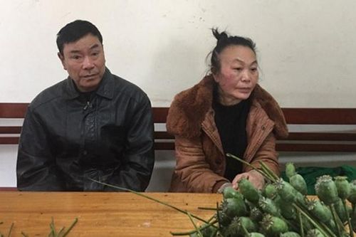 Chở 'quả độc' đi đâu