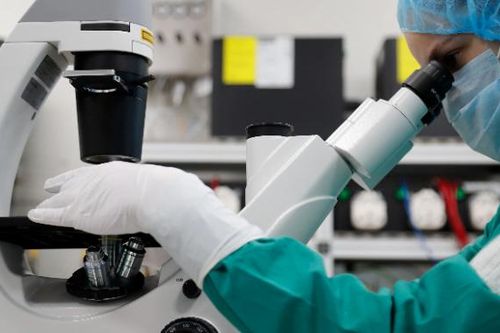 5 điều Châu Á cần biết về các chủng virus Corona mới ở Anh và Châu Phi