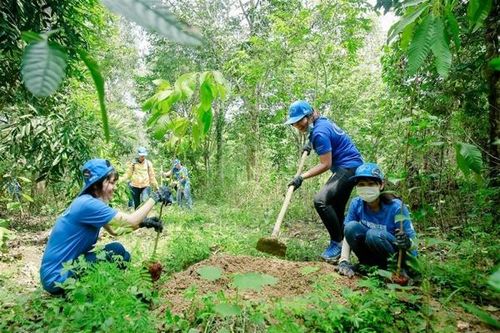 Nghiên cứu đề xuất áp dụng cơ chế chi trả chỉ số môi trường rừng