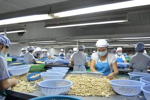 Nỗ lực cải thiện môi trường đầu tư, tạo niềm tin cho các doanh nghiệp đến Bình Phước