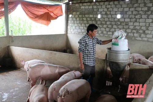 Xã Vĩnh Phúc phát triển kinh tế trang trại