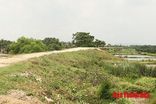 Thanh Hóa xử lý cấp bách đê hữu sông Mã
