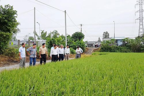 An Giang liên kết phát triển nông nghiệp
