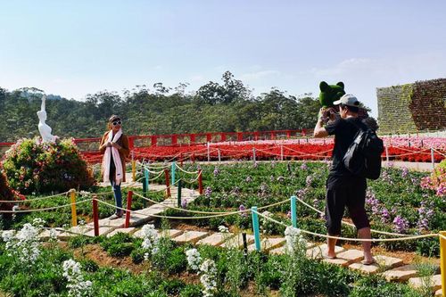 Làng hoa Đà Lạt với diện mạo mới