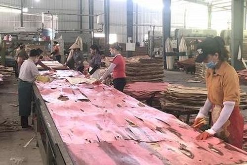 Đào tạo nghề ở Ấm Hạ