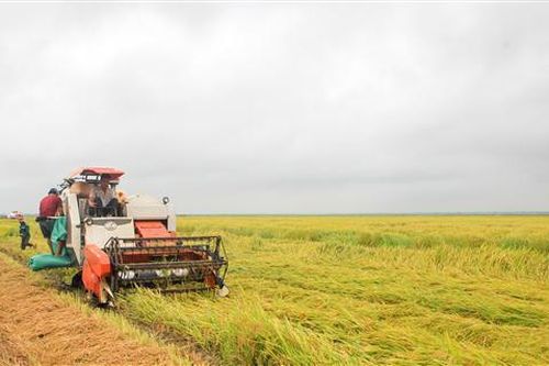 Năm 2021, ngành nông nghiệp phấn đấu đạt tốc độ tăng trưởng GDP khoảng 2,7-3%