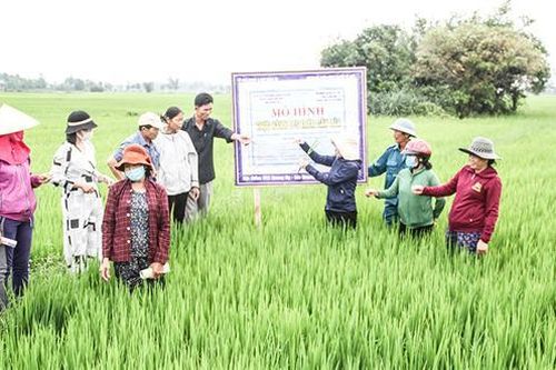 Gio Linh chú trọng đổi mới kinh tế hợp tác xã, tổ hợp tác